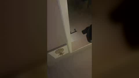 Snapshot of lollipopblue1993 chatting on 8, 8, 2026 lollipopblue1993 online show from 8, 8, 2026