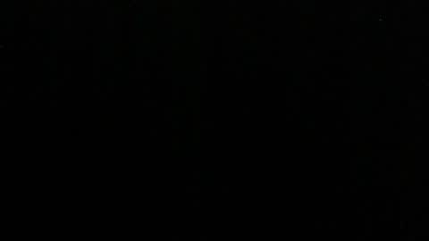 Lilly online show from 4, 3, 2025