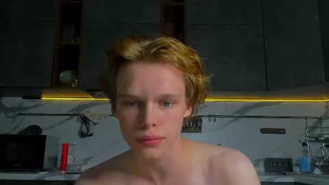 Snapshot of lolnoillimsary chatting on 15, 6, 2026 Nelis online show from 15, 6, 2026