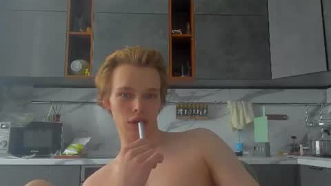 Snapshot of lolnoillimsary chatting on 26, 6, 2026 Nelis online show from 26, 6, 2026