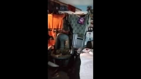 Mr. FogoDeChao online show from 3, 2, 2026