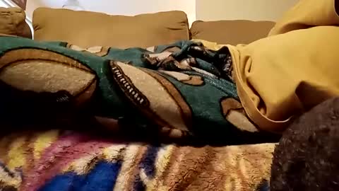 looking4bush online show from 15, 12, 2024