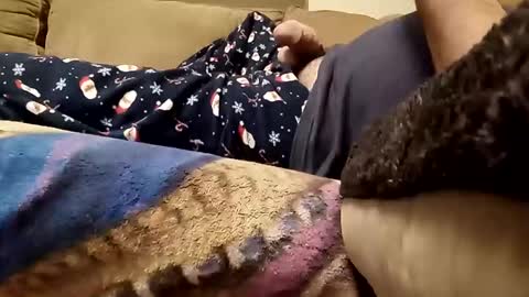 looking4bush online show from 23, 12, 2025