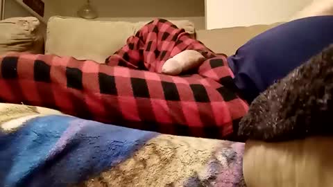 looking4bush online show from 26, 3, 2026