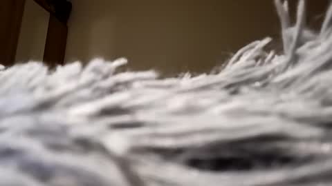 Lora online show from 15, 1, 2025