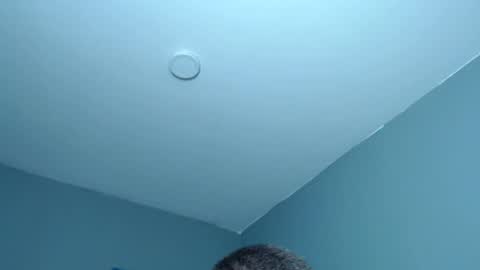 Snapshot of lothbrok_strong chatting on 28, 7, 2026 lothbrok online show from 28, 7, 2026