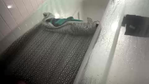 Snapshot of lovefeetonmyface29 chatting on 22, 9, 2025 lovefeetonmyface29 online show from 22, 9, 2025