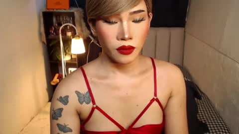 STWEET LINA online show from 3, 8, 2026