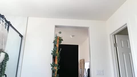lovelyxmacii online show from 29, 4, 2026