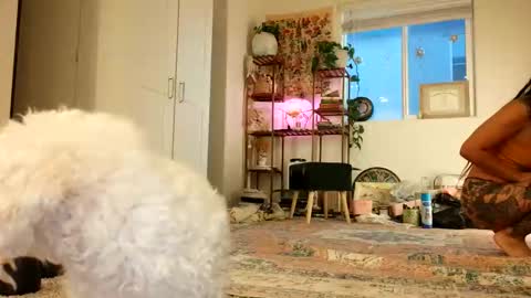 lovelyxmacii online show from 8, 5, 2026