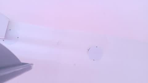 L O V E  online show from 13, 3, 2026