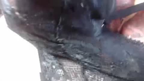 Snapshot of lover_mature2 chatting on 27, 2, 2025 Mature lover2 online show from 27, 2, 2025