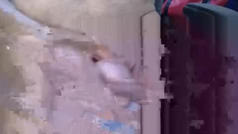 Snapshot of lovesblackazz chatting on 9, 3, 2026 Lovesblackazz online show from 9, 3, 2026