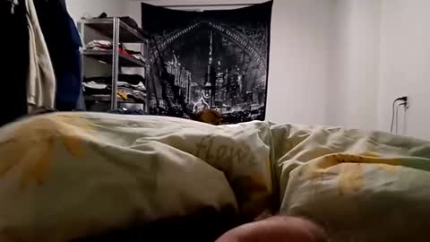 Lovetlick online show from 23, 12, 2024