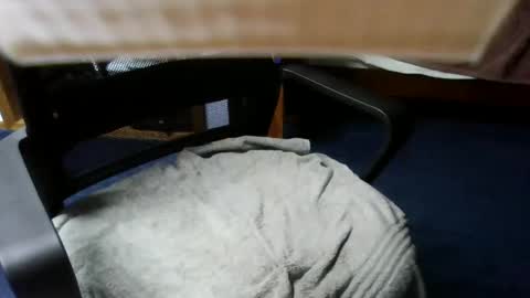 Snapshot of lovetolick272988 chatting on 21, 10, 2025 lovetolick272988 online show from 21, 10, 2025