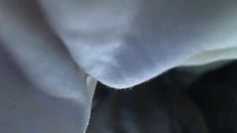 Milk Me online show from 27, 5, 2026