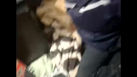 Snapshot of lshot_d chatting on 28, 11, 2025 Lshot D online show from 28, 11, 2025