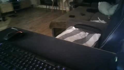 Kangooro LUCAS online show from 13, 9, 2025