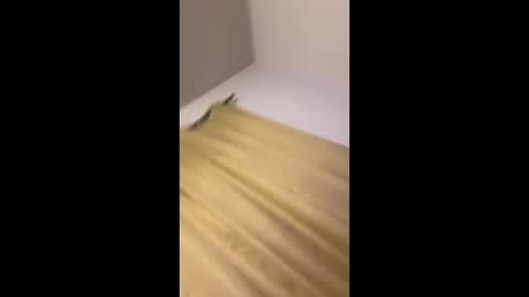 luis132578 online show from 22, 11, 2025