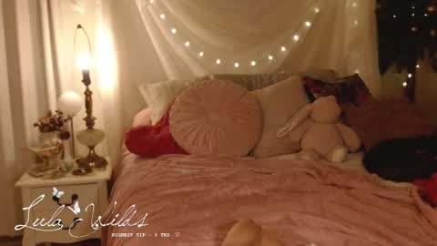 Snapshot of lulawilds chatting on 17, 12, 2025 lula wilds online show from 17, 12, 2025