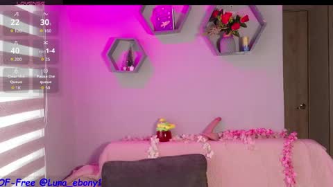 Snapshot of luna_ebony1 chatting on 29, 4, 2026 Couple X online show from 29, 4, 2026