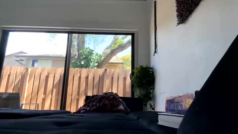 Snapshot of lunaloopzz chatting on 11, 3, 2026 lunaloopzz online show from 11, 3, 2026