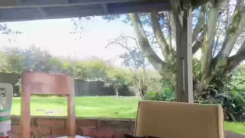 lunaluxe1001 online show from 20, 3, 2026