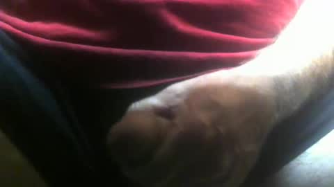 lunatica12 online show from 10, 2, 2026