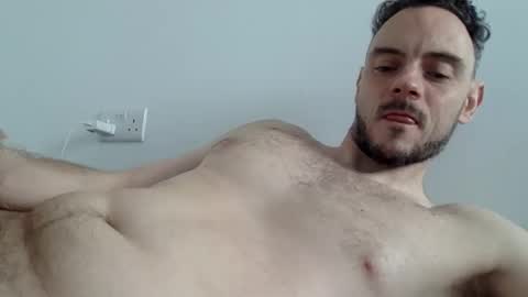 Lupine online show from 17, 3, 2026