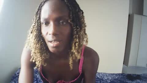 Lion online show from 24, 4, 2026