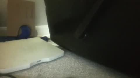 luv269er online show from 13, 11, 2025