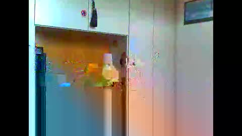 luxx72boy online show from 11, 1, 2025