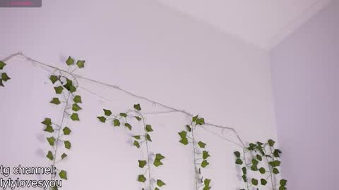 Lyly   online show from 24, 11, 2025