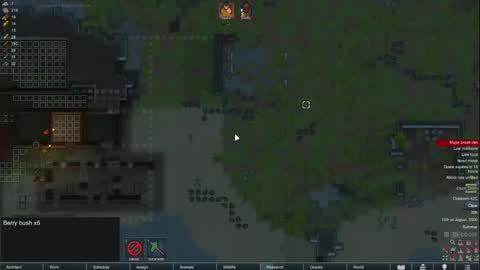 M1A  Dddy online show from 12, 2, 2025