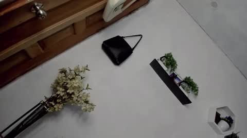 Janelovesu online show from 16, 12, 2025