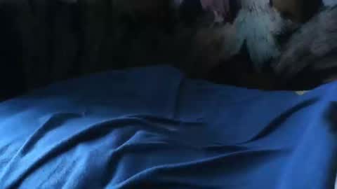 macho9385 online show from 24, 9, 2025