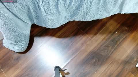 Maddy UwU online show from 28, 1, 2025