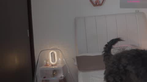 Snapshot of madison__evans chatting on 14, 2, 2026 Valentina 1030 530 - online show from 14, 2, 2026