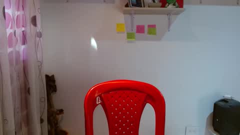 Madison Cambel online show from 29, 1, 2025