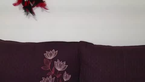 Snapshot of magic_door_open chatting on 30, 10, 2025 magic door open online show from 30, 10, 2025