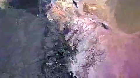 Snapshot of maho0 chatting on 13, 12, 2024 maho0 online show from 13, 12, 2024