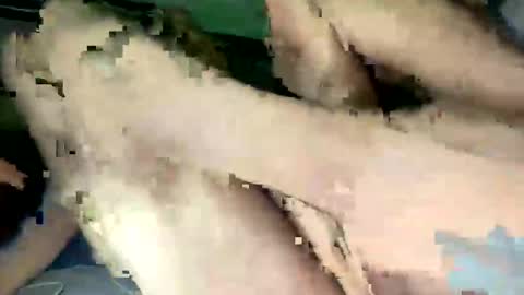 majorb986 online show from 13, 11, 2025