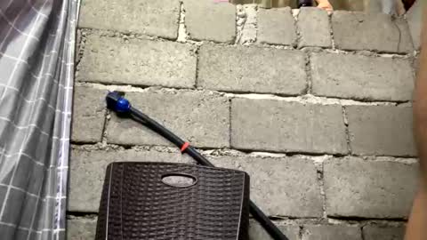 Tinaj online show from 4, 3, 2026