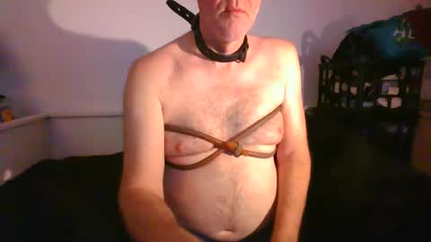 Snapshot of malebdsmslut chatting on 29, 1, 2025 CommandbondageNipples bondage kink submissive lovense slave wgear. modequiethvyBondage If Password goldfish online show from 29, 1, 2025