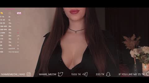 Snapshot of mamiemeow chatting on 29, 1, 2025 Your Miss Alice online show from 29, 1, 2025