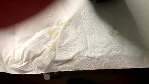 Snapshot of man4you888 chatting on 20, 2, 2025 man4you888 online show from 20, 2, 2025