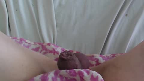 Snapshot of manclitpatsy chatting on 22, 2, 2025 .. .. online show from 22, 2, 2025