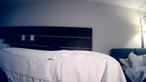 Daddy online show from 15, 5, 2026