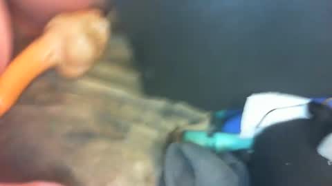 Snapshot of marcsexxy chatting on 1, 1, 2025 Marc online show from 1, 1, 2025