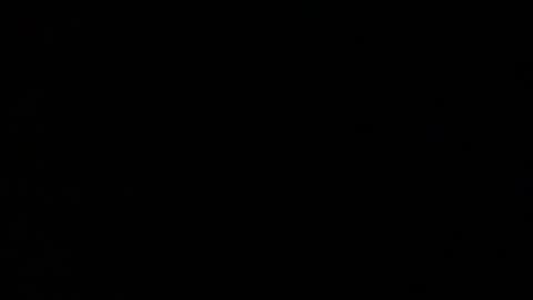 Elle online show from 22, 11, 2025